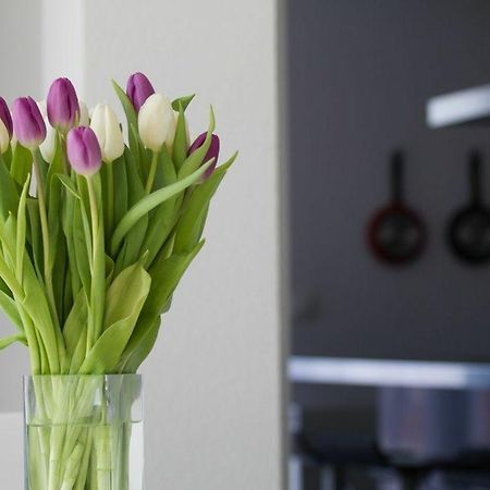 Apartments Terra Petrosa トロギール エクステリア 写真