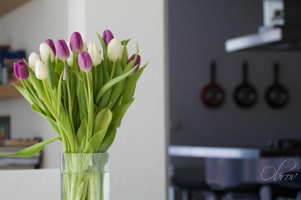 Apartments Terra Petrosa トロギール エクステリア 写真